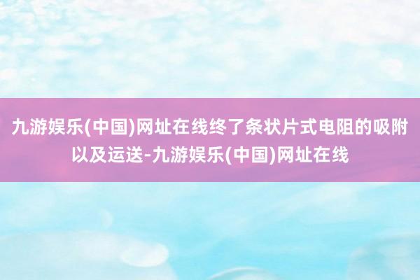 九游娱乐(中国)网址在线终了条状片式电阻的吸附以及运送-九游娱乐(中国)网址在线