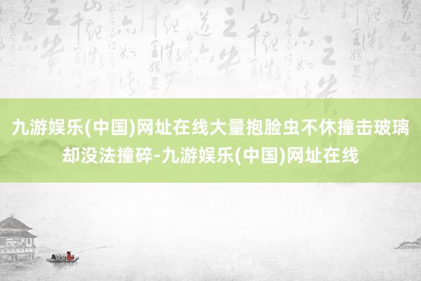 九游娱乐(中国)网址在线大量抱脸虫不休撞击玻璃却没法撞碎-九游娱乐(中国)网址在线