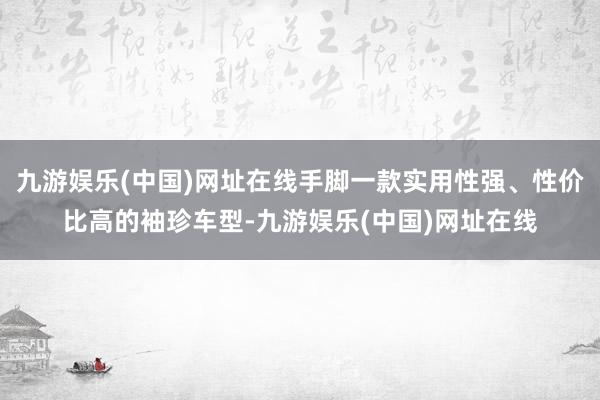 九游娱乐(中国)网址在线手脚一款实用性强、性价比高的袖珍车型-九游娱乐(中国)网址在线