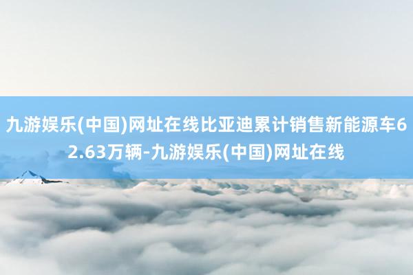 九游娱乐(中国)网址在线比亚迪累计销售新能源车62.63万辆-九游娱乐(中国)网址在线