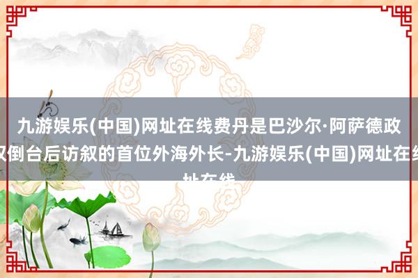 九游娱乐(中国)网址在线费丹是巴沙尔·阿萨德政权倒台后访叙的首位外海外长-九游娱乐(中国)网址在线