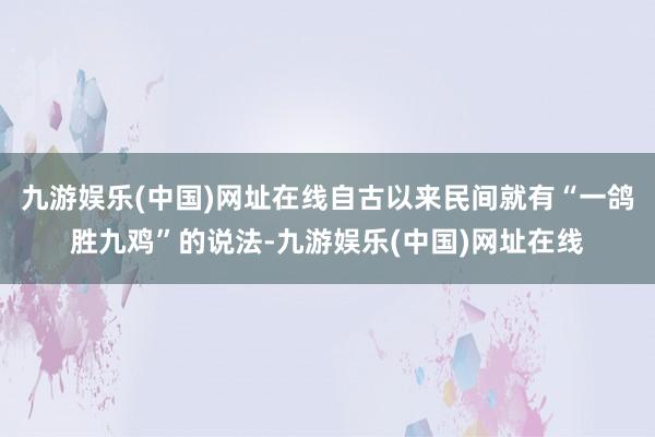 九游娱乐(中国)网址在线自古以来民间就有“一鸽胜九鸡”的说法-九游娱乐(中国)网址在线