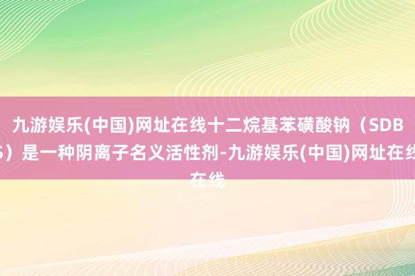 九游娱乐(中国)网址在线十二烷基苯磺酸钠（SDBS）是一种阴离子名义活性剂-九游娱乐(中国)网址在线