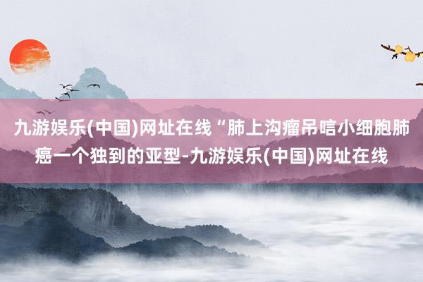 九游娱乐(中国)网址在线“肺上沟瘤吊唁小细胞肺癌一个独到的亚型-九游娱乐(中国)网址在线