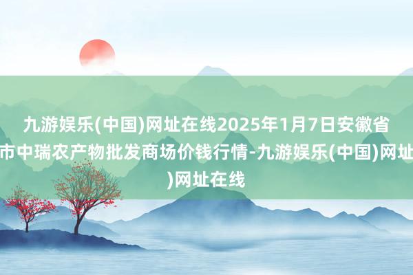 九游娱乐(中国)网址在线2025年1月7日安徽省淮北市中瑞农产物批发商场价钱行情-九游娱乐(中国)网址在线