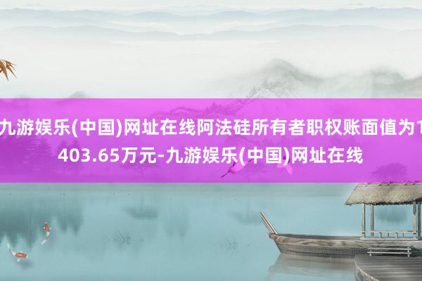 九游娱乐(中国)网址在线阿法硅所有者职权账面值为1403.65万元-九游娱乐(中国)网址在线