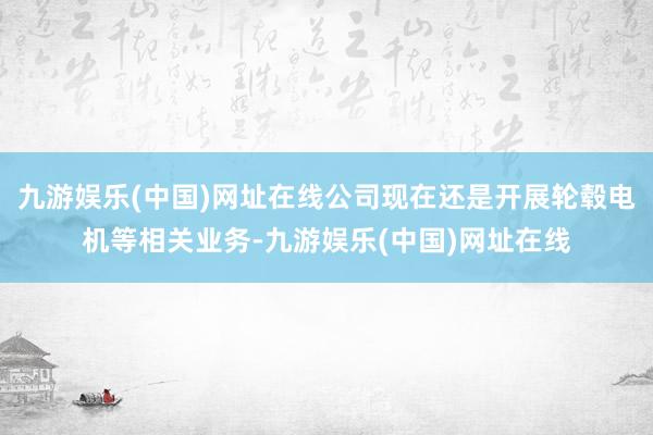 九游娱乐(中国)网址在线公司现在还是开展轮毂电机等相关业务-九游娱乐(中国)网址在线