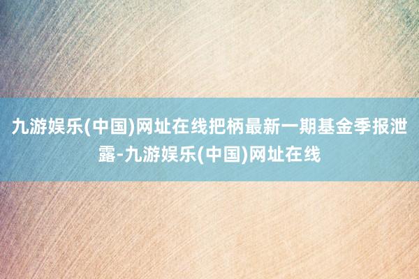 九游娱乐(中国)网址在线把柄最新一期基金季报泄露-九游娱乐(中国)网址在线